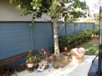 Back yard - they did all the fences and redwood benchs and planters